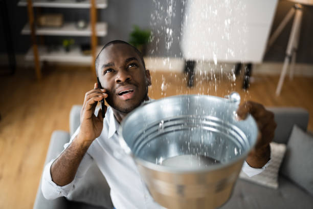 Best Local water damage restoration  in Trophy Clu, TX