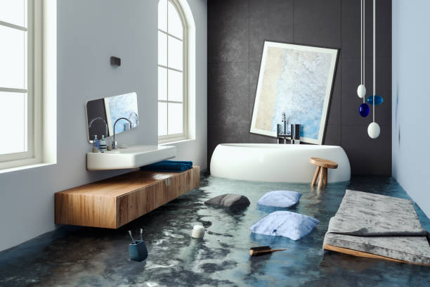 Best Mold removal after water damage  in Trophy Clu, TX
