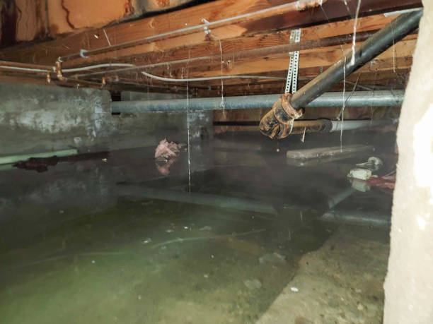 Best 24-hour water damage restoration  in Trophy Clu, TX