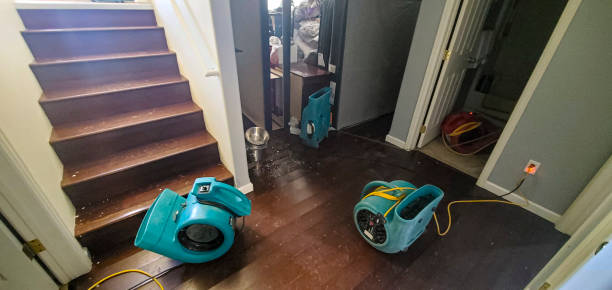 Best Flood damage cleanup  in Trophy Clu, TX
