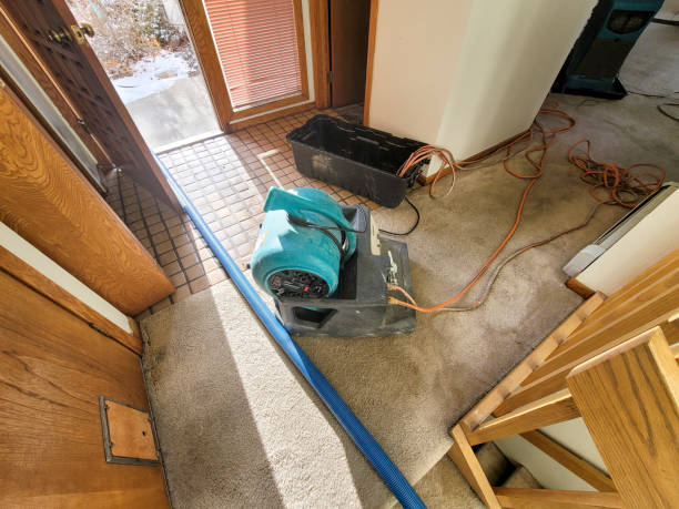 Best Water damage repair service  in Trophy Clu, TX