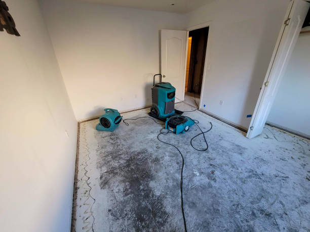 Best Basement water damage restoration  in Trophy Clu, TX