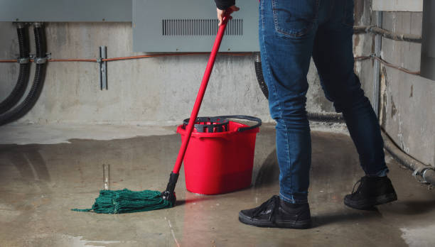 Best Water damage contractors near me  in Trophy Clu, TX