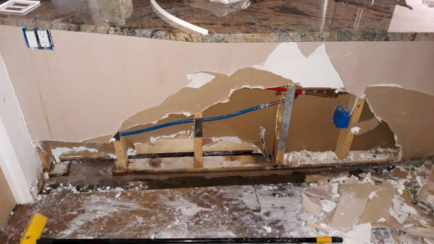 Best Mold removal after water damage  in Trophy Clu, TX