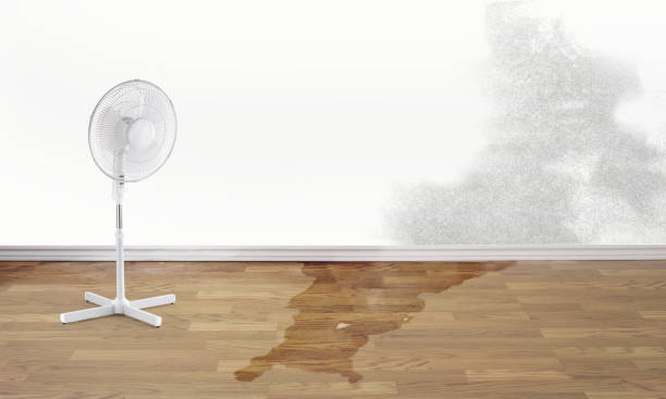 Best Flood restoration services  in Trophy Clu, TX