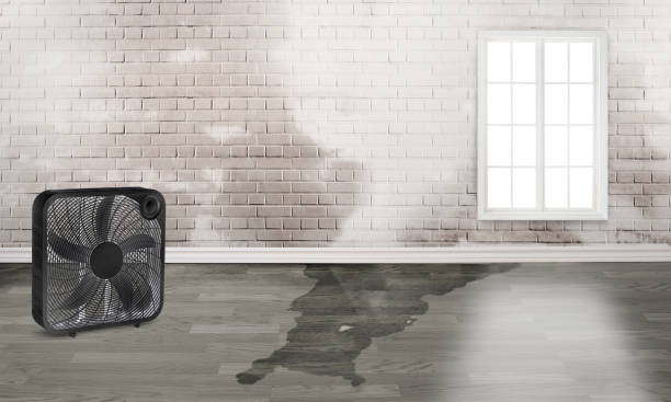 Trusted Trophy Clu, TX Water damage restoration Experts