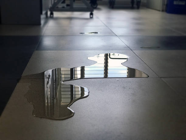 Best Water damage restoration near me  in Trophy Clu, TX