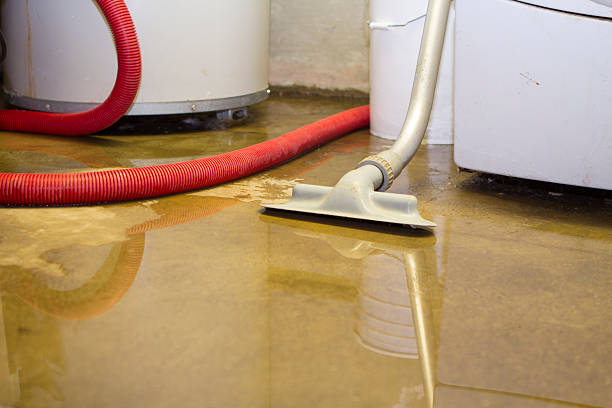Reliable Trophy Clu, TX Water damage restoration Solutions