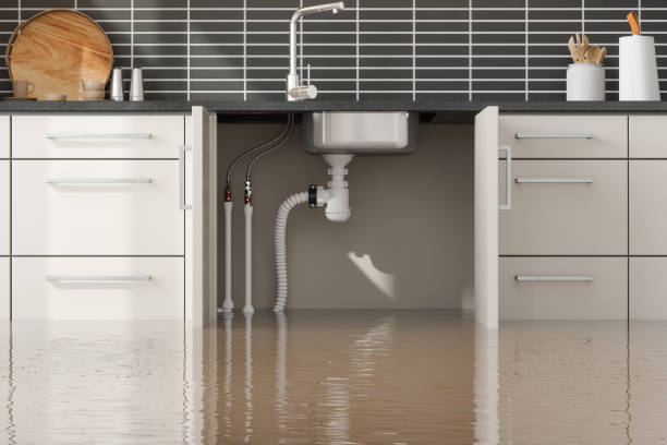 Best Water damage contractors near me  in Trophy Clu, TX