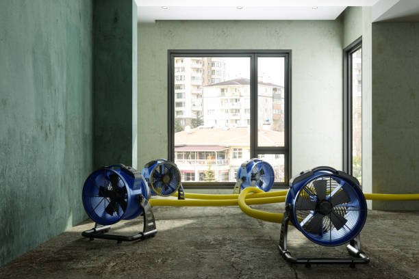 Best Professional water damage repair  in Trophy Clu, TX
