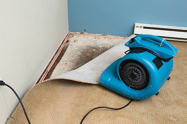 Best Fire Damage Restoration  in Trophy Clu, TX
